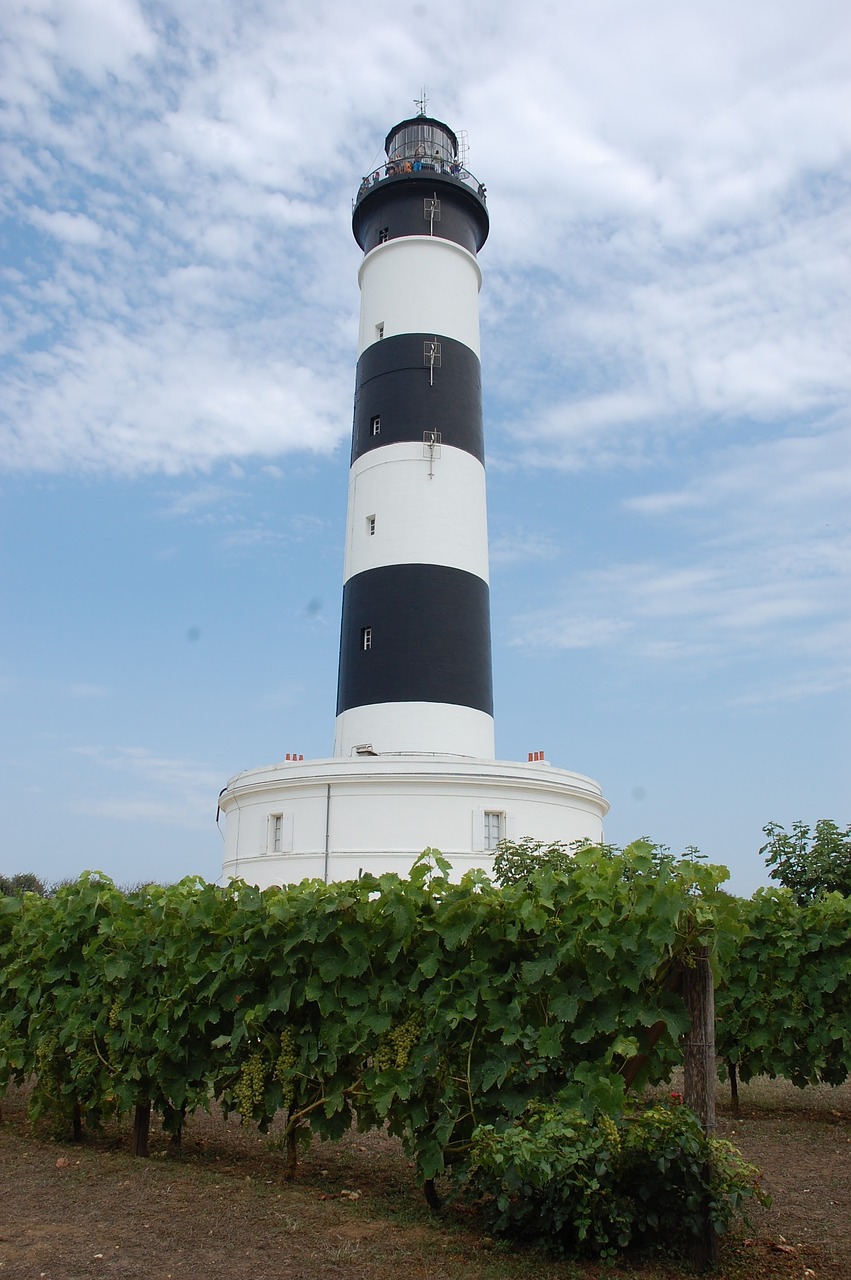 Camping-Charente-Maritime-Île-Oleron-Phare-Chassiron