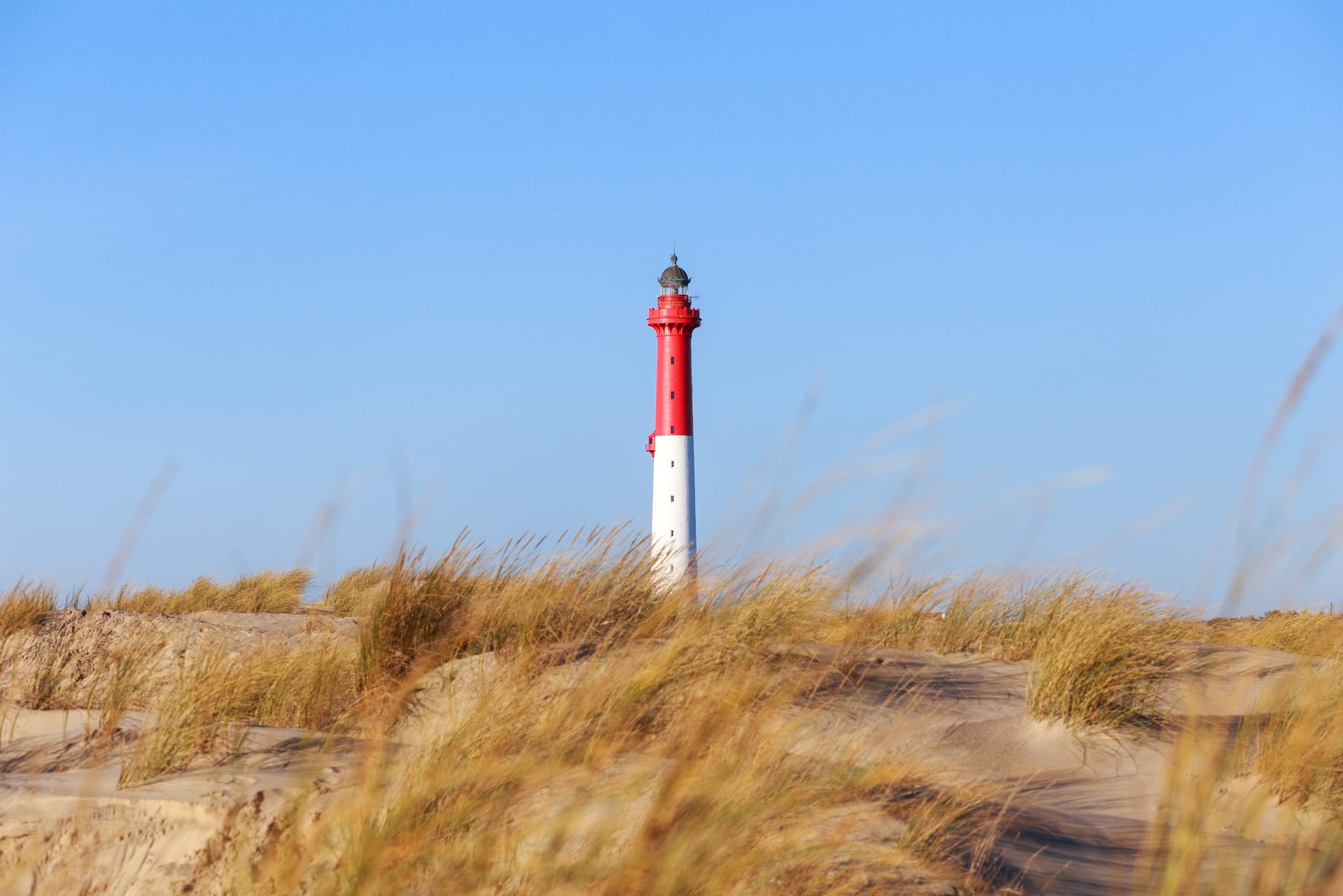 Lighthouse,Of,La,Coubre,Forest,Near,La,Palmyre/royan,In,France,