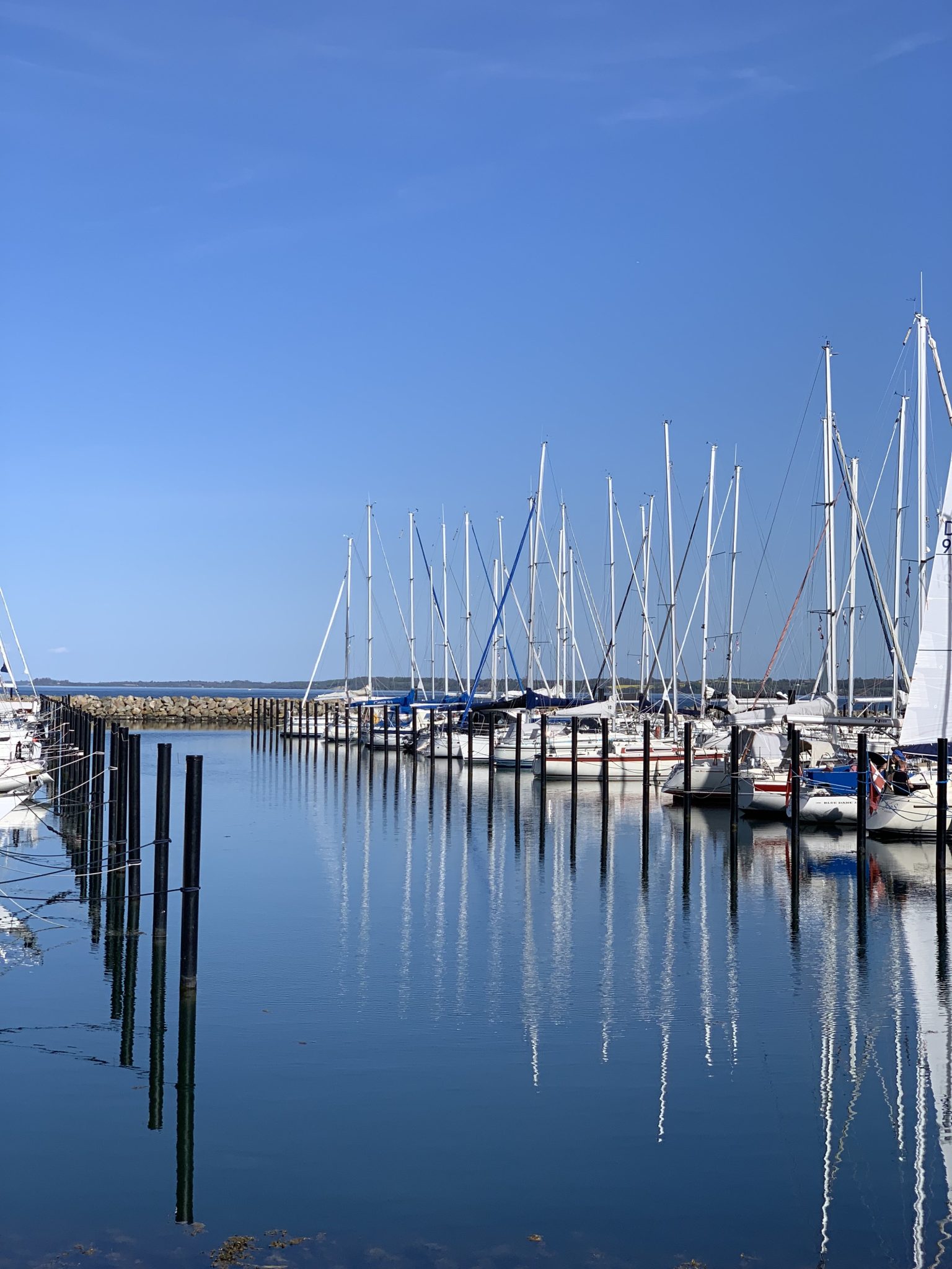 Le Port de Plaisance du Douhet-ile-oleron-camping-eden-villages-le-suroit-min