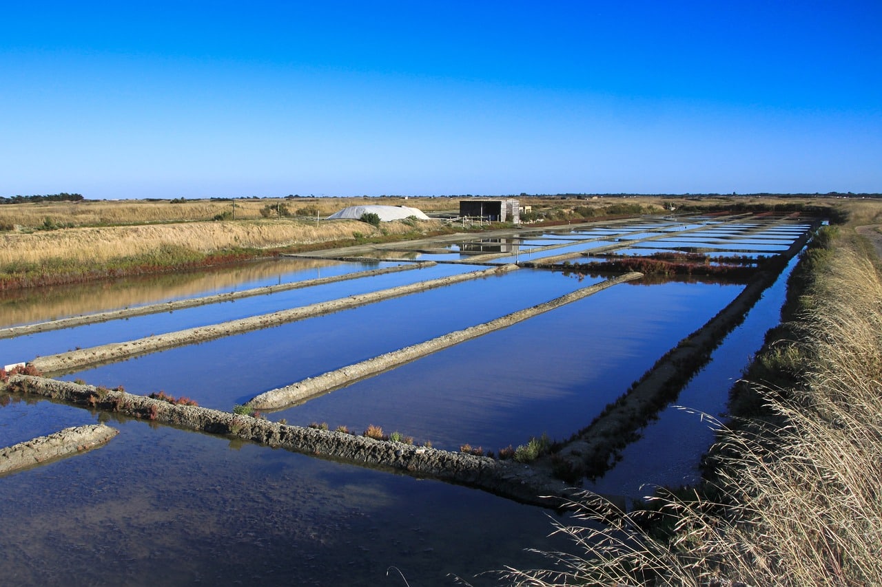 marais-salants-noirmoutier