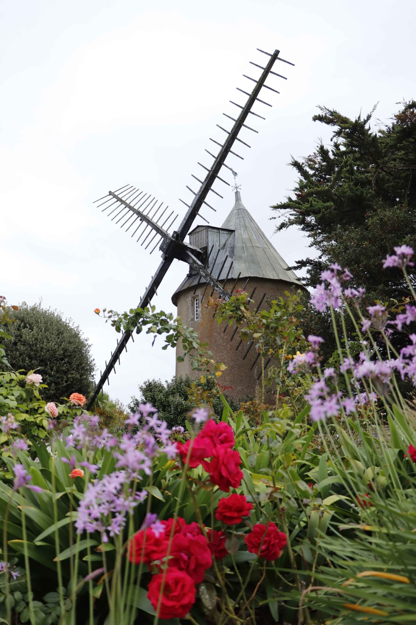2023_0929_LE BOIS_Moulin de Bellère ©Alizée RUSSEIL-DIDR