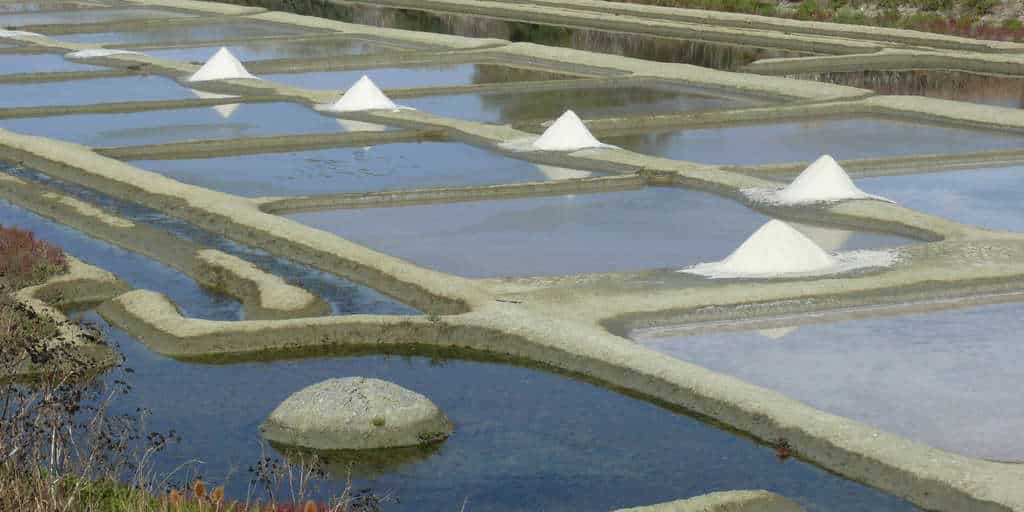 Ecomusee-des-marais-salants